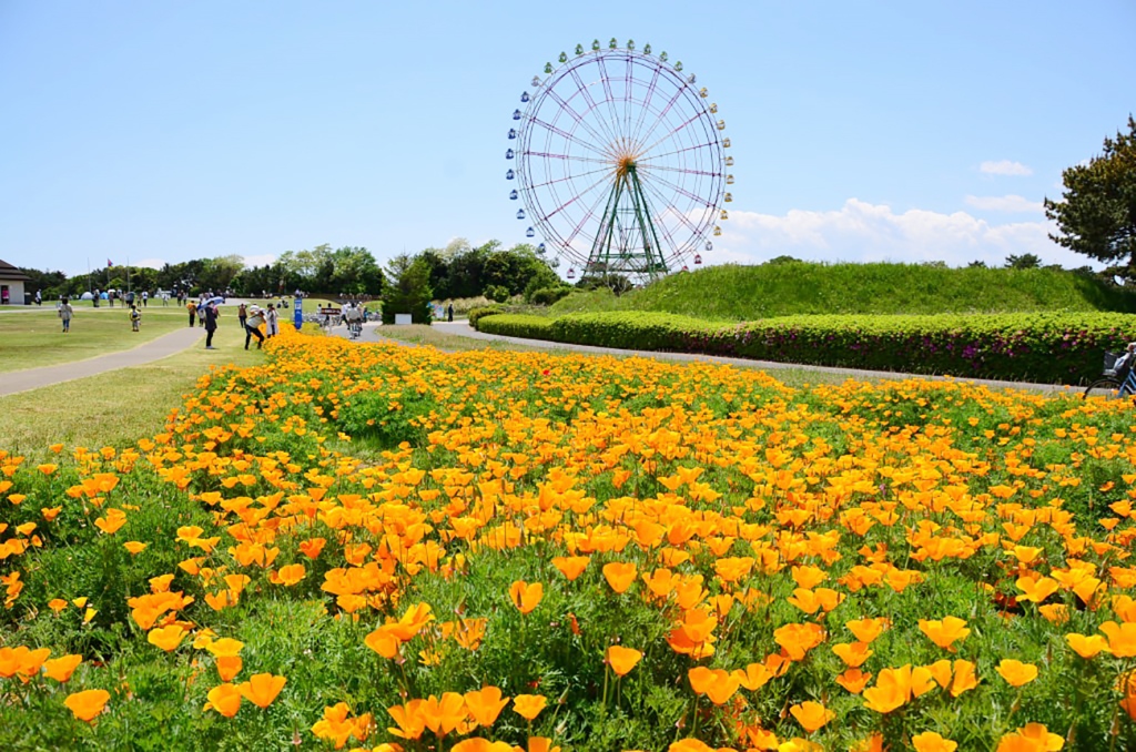 Hitachi Park 1
