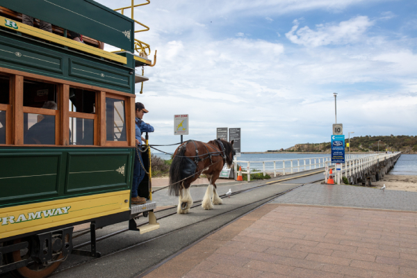 Granite Island, McLaren Vale.jpg
