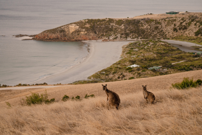 Kangaroo Island, South Australia.jpg