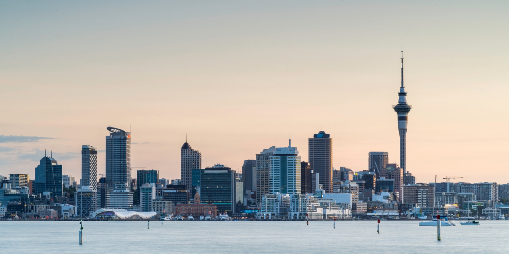 auckland overview.jpg