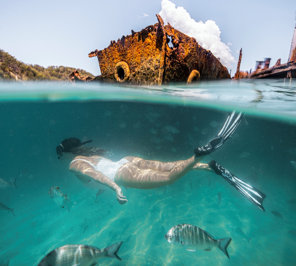 142730-2020_BNE_MoretonIsland_Tangaloom-19 (1).jpg