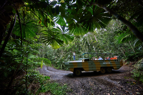 41029 wtl kuranda car.jpg