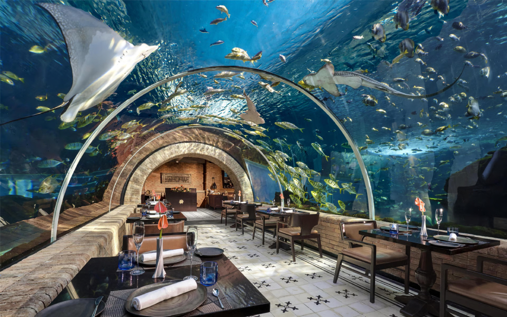 undersea restaurant 41031.jpg